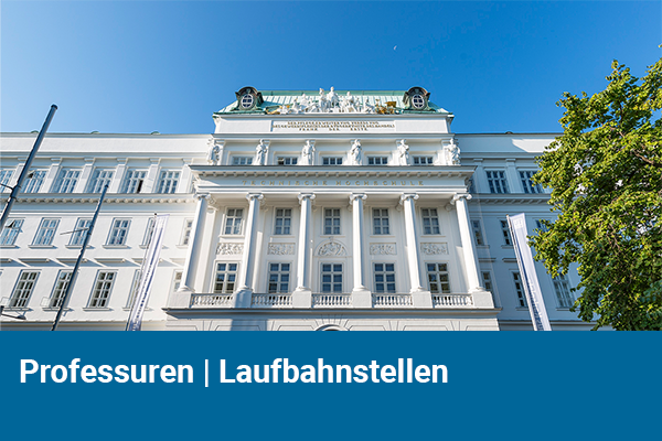Professuren | Laufbahnstellen